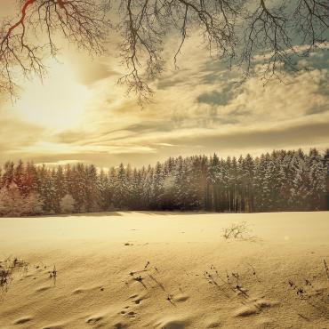 Die perfekte Hochzeit Teil 2 - Winter Wonderland: Märchenhochzeit im Winter