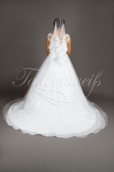 Brautkleid TW0143B - braunes Band Tüll Tattoo Spitze Perlen tiefer Ausschnitt Schleppe 4