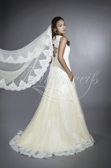 Brautkleid TW0202B - zweifarbig A-Linie Tüll Spitze Träger Schlüsselloch 3