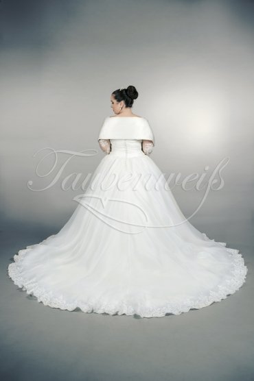 Brautkleid TW0157B - Übergröße Plus XXL Große Größe Spitze Prinzessin Langarm 3